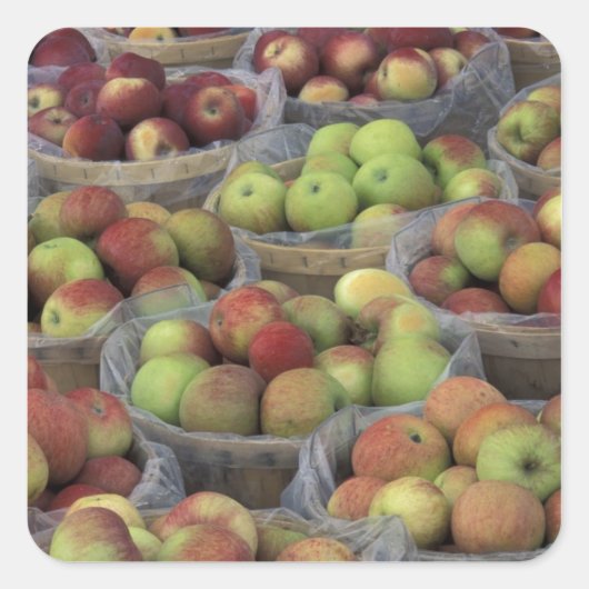 New York State Macintosh-appels in manden Vierkante Sticker (Voorkant)