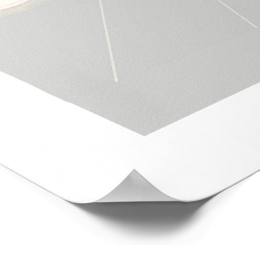 New York Streets Poster (Hoek)