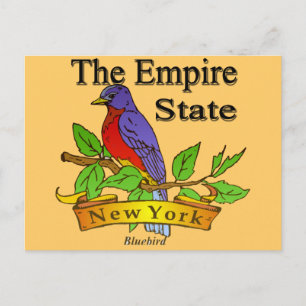 New York The Empire State Bird Briefkaart