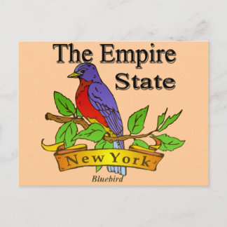 New York The Empire State Bird Briefkaart