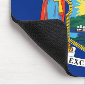 New York: The Empire State Home, de vlag van de Bi Muismat (Hoek)