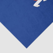 New York: The Empire State Home, de vlag van de Bi Tissuepapier (Detail)