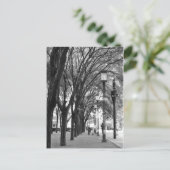 New York Tree Lined Walk Briefkaart (Staand voorkant)