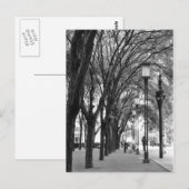 New York Tree Lined Walk Briefkaart (Voorkant / Achterkant)