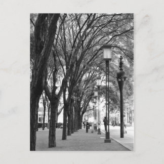 New York Tree Lined Walk Briefkaart