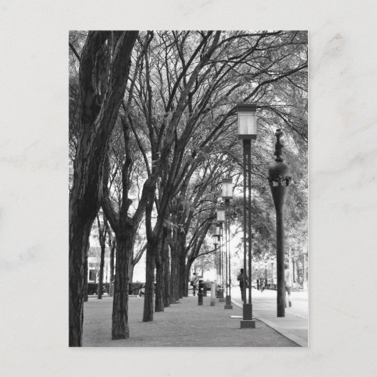 New York Tree Lined Walk Briefkaart (Voorkant)