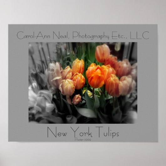 New York Tulips Poster (Voorkant)