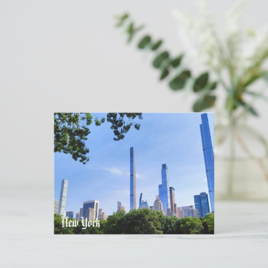 New York View Postcard Central Park & Brooklyn  Briefkaart (Staand voorkant)