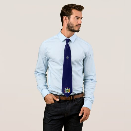 New York vlag Stropdas (In situ)