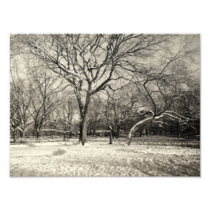 New York Winter - East Village Snow Foto Afdruk