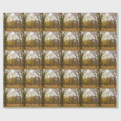 New York Wrapping Paper Central Park Gift Paper Cadeaupapier (Vlak)