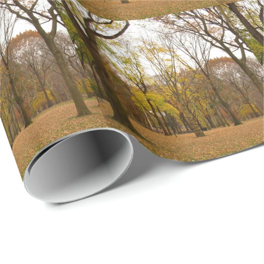 New York Wrapping Paper Central Park Gift Paper Cadeaupapier (Rol Hoek)