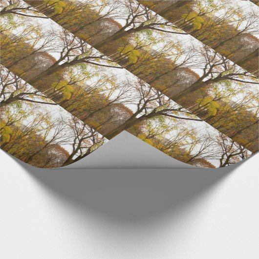 New York Wrapping Paper Central Park Gift Paper Cadeaupapier (Hoek)