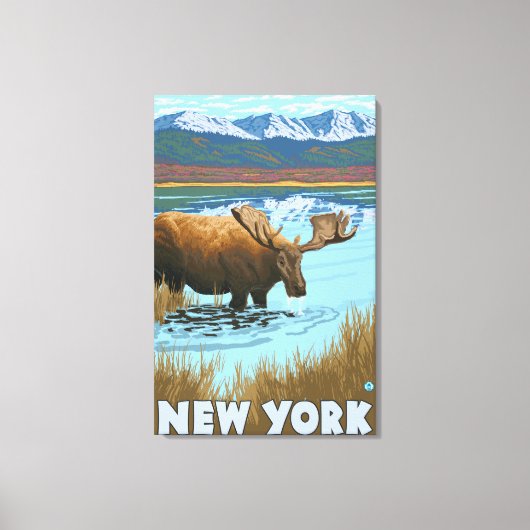 New YorkMoose Drink in Lake Canvas Afdruk (Voorkant)