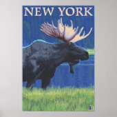 New YorkMoose in de maan Poster (Voorkant)