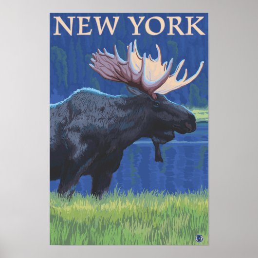 New YorkMoose in de maan Poster (Voorkant)