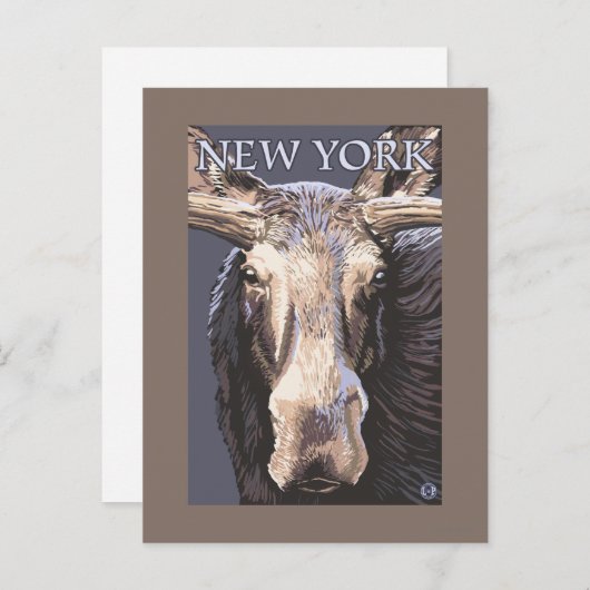 New YorkMoose Up Close Briefkaart (Voorkant / Achterkant)