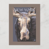 New YorkMoose Up Close Briefkaart (Voorkant)