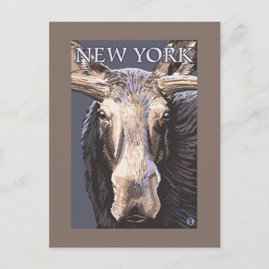 New YorkMoose Up Close Briefkaart (Voorkant)