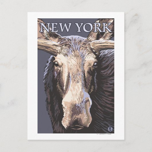 New YorkMoose Up Close Briefkaart (Voorkant)