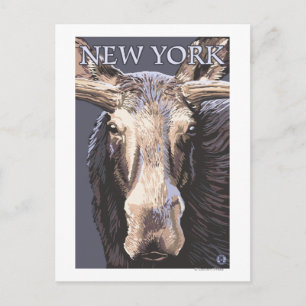New YorkMoose Up Close Briefkaart