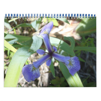 New Yorks Finest Landscapes Kalender