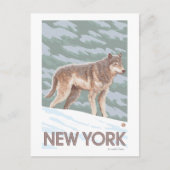 New YorkWolf Scene Briefkaart (Voorkant)