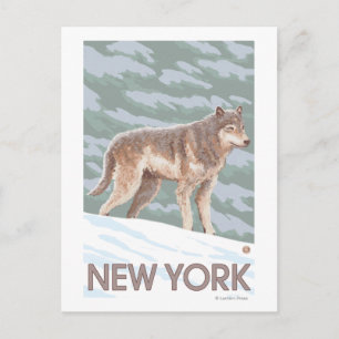 New YorkWolf Scene Briefkaart