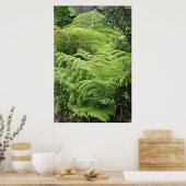 New Zealand Fern Ponga Tree Poster (Keuken)
