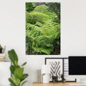 New Zealand Fern Ponga Tree Poster (Thuiskantoor)