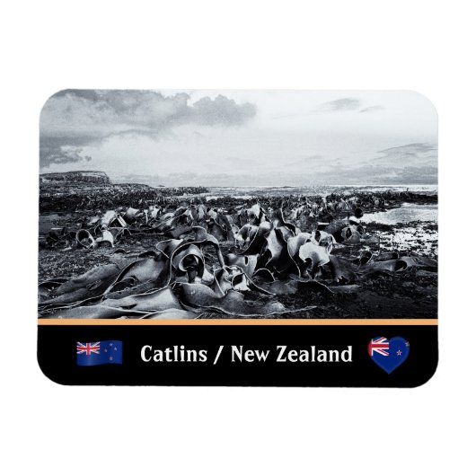 New Zealand, Kelp Coast - Curio Bay/The Catlins Magneet (Horizontaal)