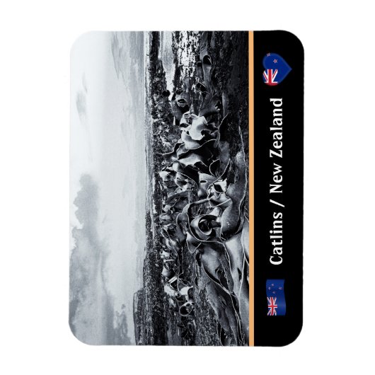 New Zealand, Kelp Coast - Curio Bay/The Catlins Magneet (Verticaal)