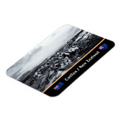 New Zealand, Kelp Coast - Curio Bay/The Catlins Magneet (Linkerzijde)