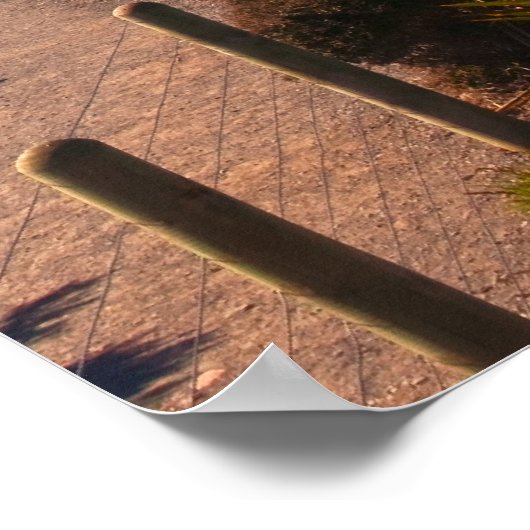 New Zealand: Nugget Point Poster (Hoek)