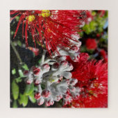 New Zealand Pohutukawa Tree Red Blooming Flower Legpuzzel (Horizontaal)