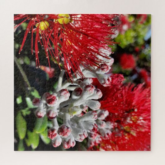 New Zealand Pohutukawa Tree Red Blooming Flower Legpuzzel (Horizontaal)
