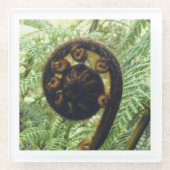 New Zealand Souvenir Fern Koru Foto Glazen Onderzetter (Voorkant)