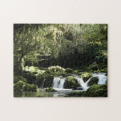New Zealand Stream with Waterfall Natuur Photo Legpuzzel (Horizontaal)