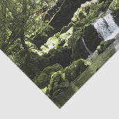 New Zealand Stream with Waterfall Natuur Photo Tissuepapier (Detail)