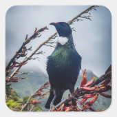 New Zealand Tui Bird Sticker (Voorkant)