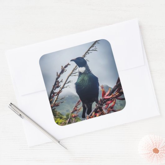 New Zealand Tui Bird Sticker (Envelop)