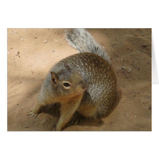 ~New Zion FuZzY GuY~ (Voorkant Horizontaal)