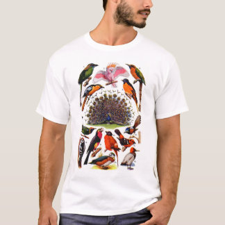 newartsweb - Vogels van een doezelaar T-shirt