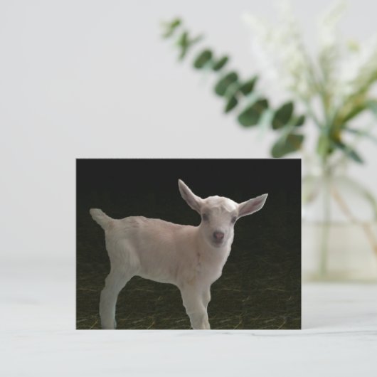 Newborn Doeling Briefkaart (Staand voorkant)