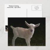 Newborn Doeling Briefkaart (Voorkant / Achterkant)