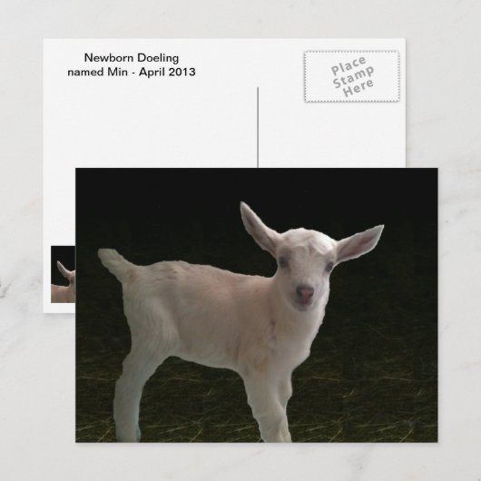Newborn Doeling Briefkaart (Voorkant / Achterkant)