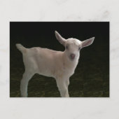 Newborn Doeling Briefkaart (Voorkant)