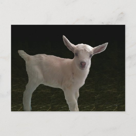 Newborn Doeling Briefkaart (Voorkant)