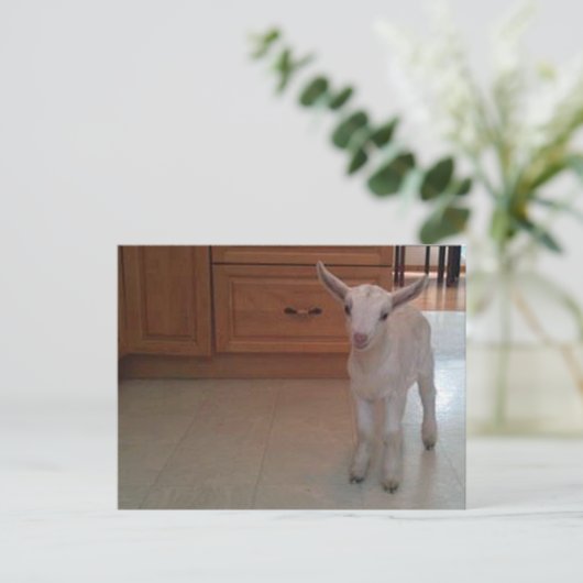 Newborn Doelings Briefkaart (Staand voorkant)