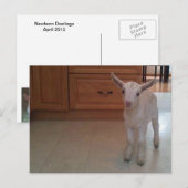 Newborn Doelings Briefkaart (Voorkant / Achterkant)